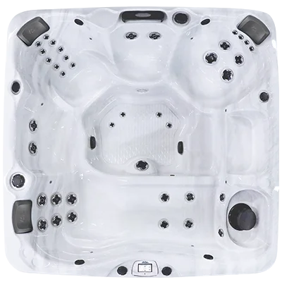 Avalon-X EC-840LX hot tubs for sale in Waukesha