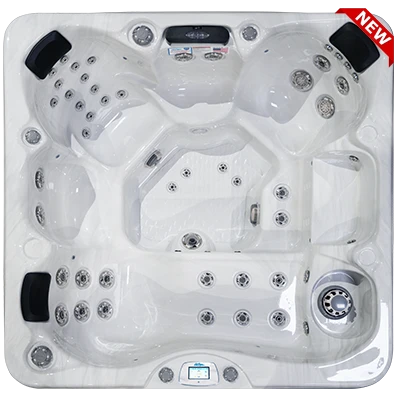 Avalon-X EC-849LX hot tubs for sale in Waukesha
